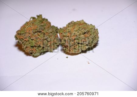 gelato is a hybrid medical marijuana strain
