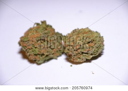 gelato is a hybrid medical marijuana strain