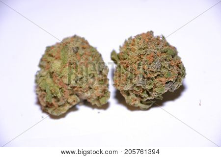 gelato is a hybrid medical marijuana strain