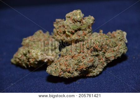 premium jack (cannabis cup award winner) is a sativa marijuana strain used for medical reasons