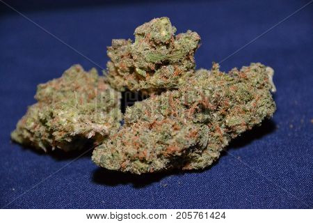 premium jack (cannabis cup award winner) is a sativa marijuana strain used for medical reasons