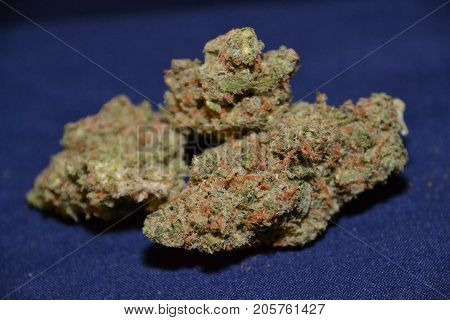 premium jack (cannabis cup award winner) is a sativa marijuana strain used for medical reasons