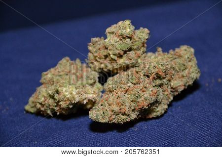 premium jack (cannabis cup award winner) is a sativa marijuana strain used for medical reasons