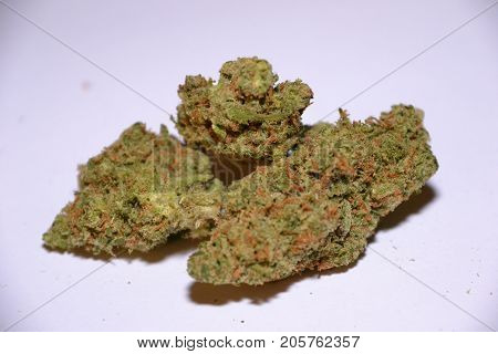 premium jack (cannabis cup award winner) is a sativa marijuana strain used for medical reasons