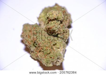 premium jack (cannabis cup award winner) is a sativa marijuana strain used for medical reasons