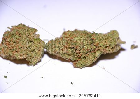premium jack (cannabis cup award winner) is a sativa marijuana strain used for medical reasons