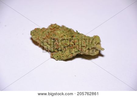 premium jack (cannabis cup award winner) is a sativa marijuana strain used for medical reasons