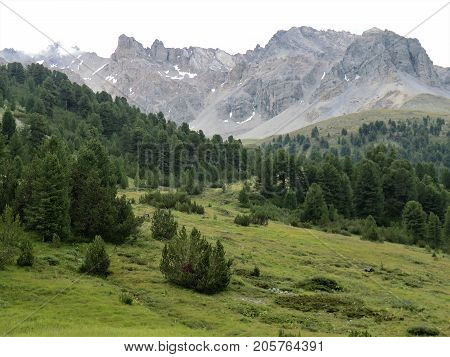 Meadow, forest and rocky mountains near Scuol, Lower Engadine, Switzerland