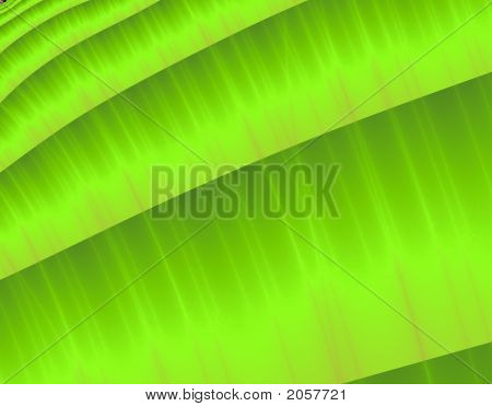 Gras rolls