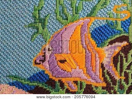Needlepoint of various tropical fish using a variety of stitches.