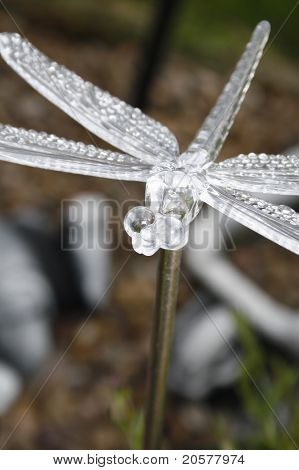 Libelle