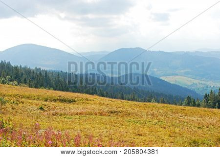 Mountain Landscape In Carpathian