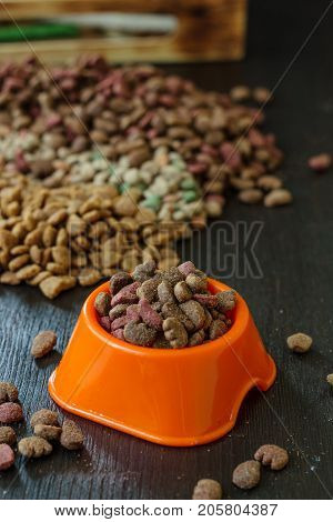 Pet food in bowl for cat and dog
