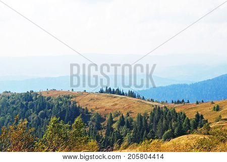 Mountain Landscape In Carpathian