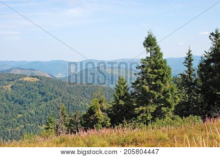Mountain Landscape In Carpathian