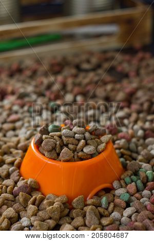 Orange plastic bowl filled with dry pet food surrounded by dry food for cat and dogs