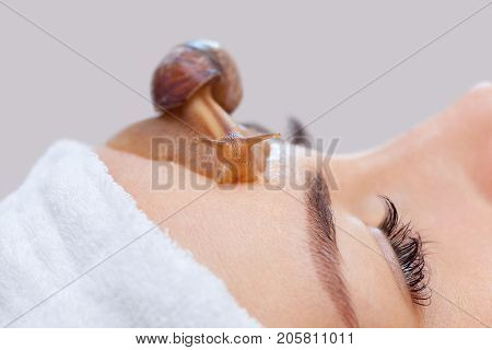 Cosmetological Procedure. Beautiful Young Woman With A Snail Ahatin On Her Face In A Beauty Salon.