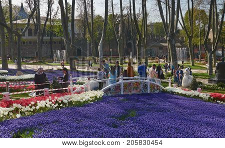 Istanbul Turkey - April 06 2016 Annual Spring Festival of Tulips new design Gulhane Park wedding also came to park. Local people and tourists are getting rest making photos and enjoy good weather and spring slice of life editorial.