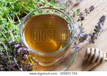 A cup of creeping thyme (thymus serpyllum) tea with fresh creeping thyme twigs on a wooden background