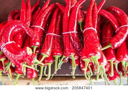 fruits of hot chili peppers in bundles lie on the table, counter, commercial background