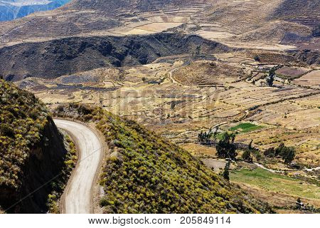 canyon Colca in Peru, South America