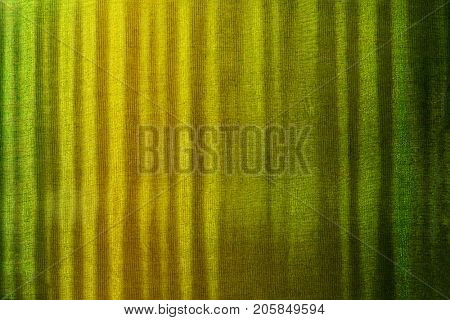 Finished wood surface with beautiful figured grain.Wood has tiger stripe or curly stripe grain. colored with translucent yellow and green dye and lacquer top coat.