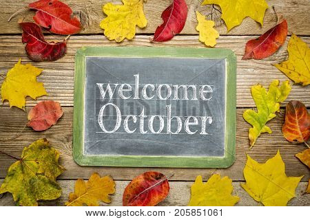 Welcome October on a slate blackboard against rustic weathered wood planks with colorful dried leaves