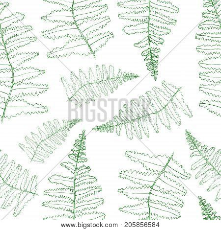 Vector fern silhouette collection. Green isolated prints of fern leaves on the white background.