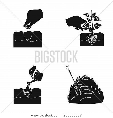 Garden, ecology, farmingand other  icon in black style. Feed, plot, farm, icons in set collection.