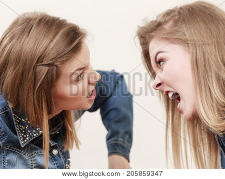 Two Women Having Argue