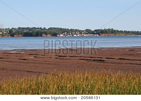 River Exe