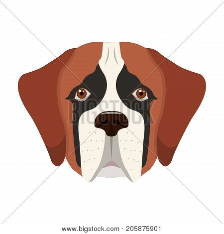 Breed of a dog, St. Bernard.Muzzle of St. Bernard single icon in cartoon style vector symbol stock illustration .