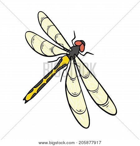 A dragonfly, a predatory insect.Dragonfly flying invertebrate insect single icon in cartoon style vector symbol stock isometric illustration .