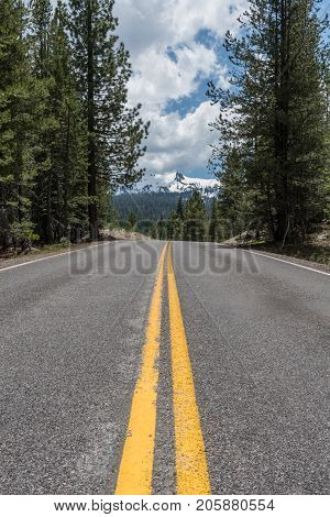 Road Through Pine Trees with Lassen Peak Peeking in Middle