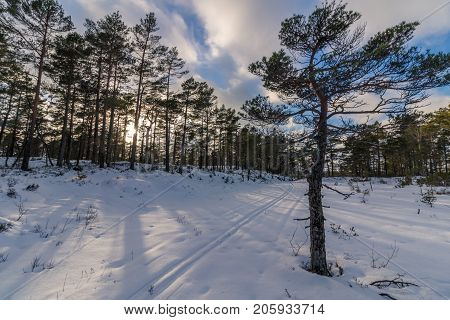 Cross-Country Skiing Track in Berefjell in Iveland, Norway. Snow, blue sky with clouds