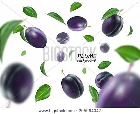 Ripe plums with leaves on white background. Flying blue plums. Quality realistic vector.