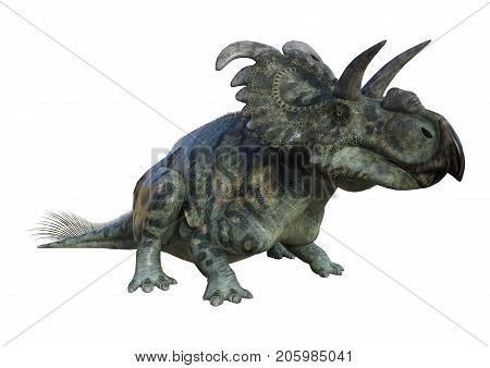 3D Rendering Dinosaur Albertaceratops On White