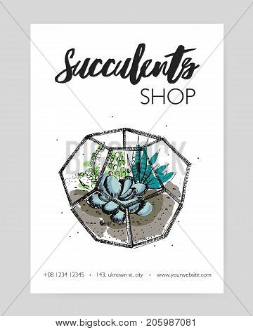 Minimalistic flyer template with green succulents growing in glass geometric florarium hand drawn on white background. Indoor plant decoration. Vector illustration for florist shop advertisement