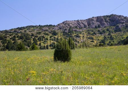 beautiful nature. Mountains in Kazakhstan . In the park in nature