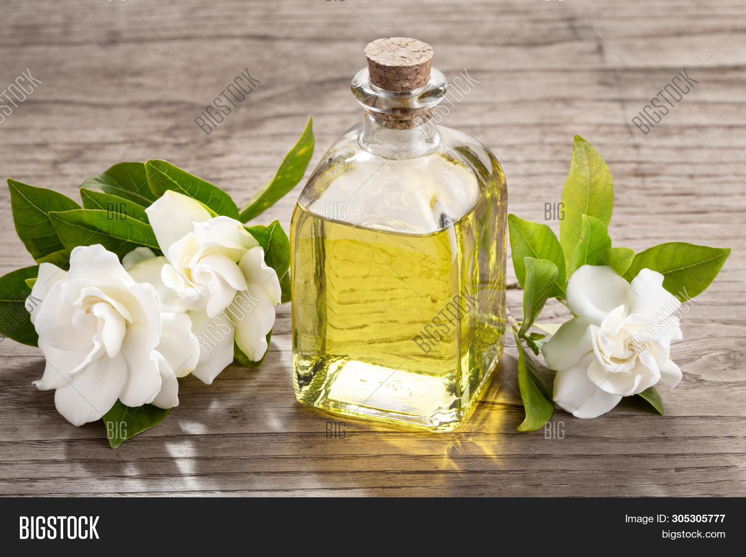 Gardenia Essential Oil Image & Photo (Free Trial) Bigstock