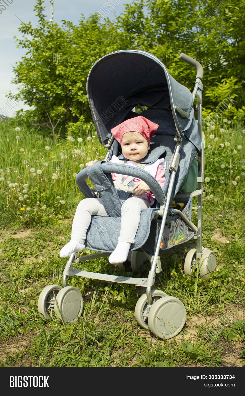 blue stroller for girl