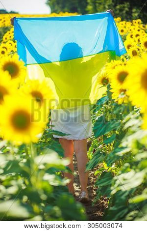 Woman With Yellow-blue Flag Of Ukraine. Girl In Embroidery Runs Along Field Of Heresies. Fun On Inde