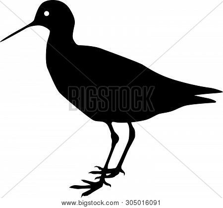 Phalarope Bird Black Vector Silhouette Clip Art