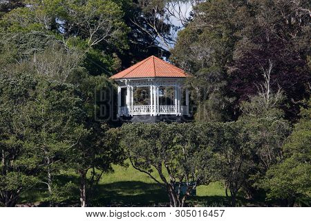 Gazebo At The Park Surround By Tress And Nature