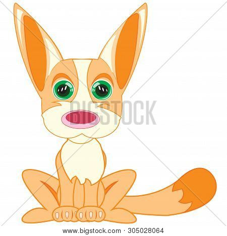 Fenek Animal On White Background Is Insulated