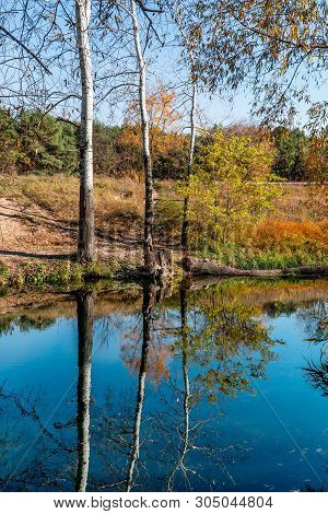 Autumn Landscape Of Three Aspens, Reflected In The River And Forest On The Background