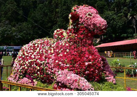 Kodaikanal, Tamilnadu, India - June 2, 2019: Nandi Statue Made With Flowers At The 58Th Flower Show