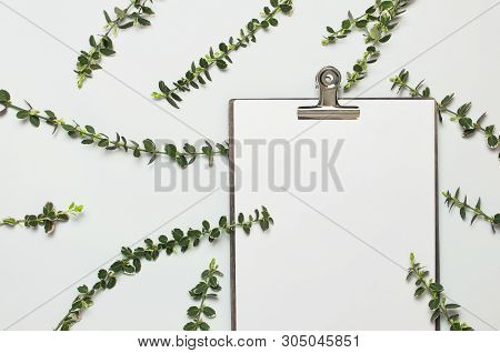 Blank White Paper With Folder And Metal Clothespin, Spring Green Twigs Of Plants On Gray Background