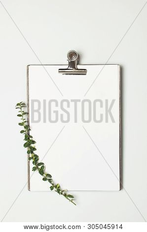 Blank White Paper With Folder And Metal Clothespin, Spring Green Twigs Of Plants On Gray Background