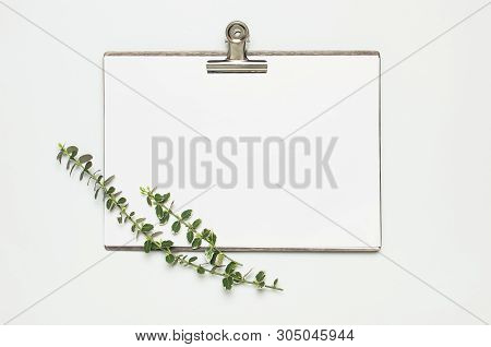 Blank White Paper With Folder And Metal Clothespin, Spring Green Twigs Of Plants On Gray Background